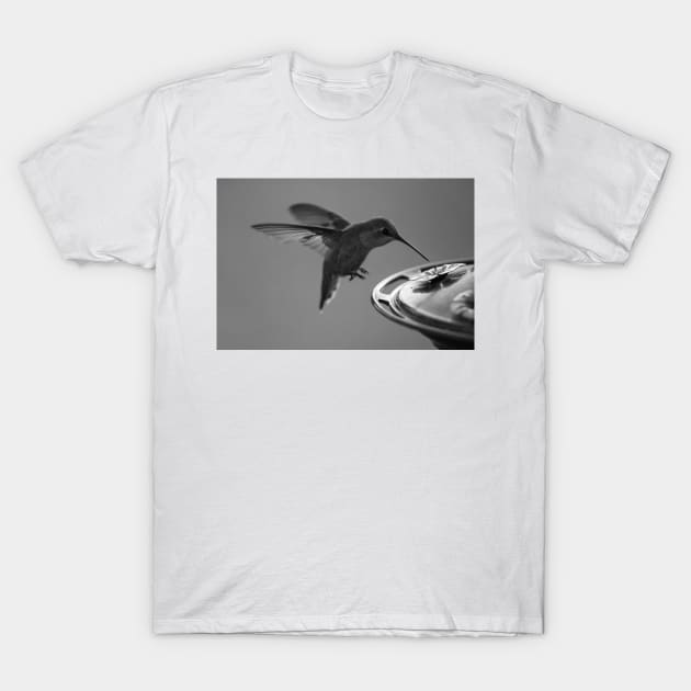 Hummingbird at Feeder Black and White 2 or 3 T-Shirt by ButterflyInTheAttic